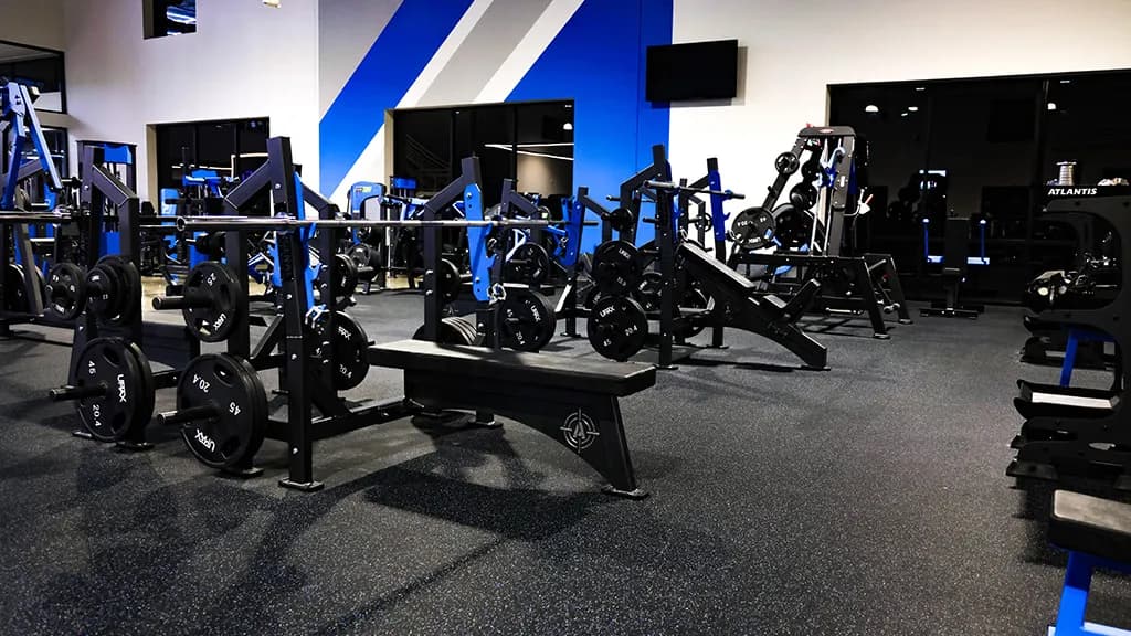 Gym floor